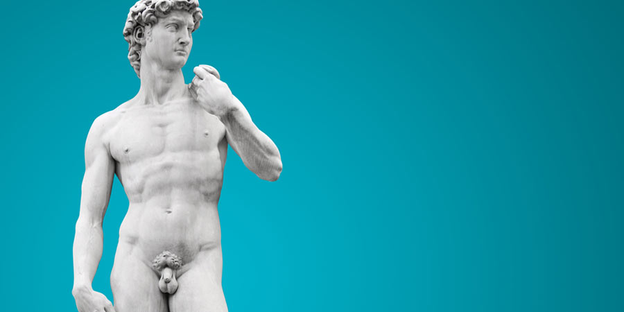 Photo of the statue of David by Michelangelo to show penis appreciation